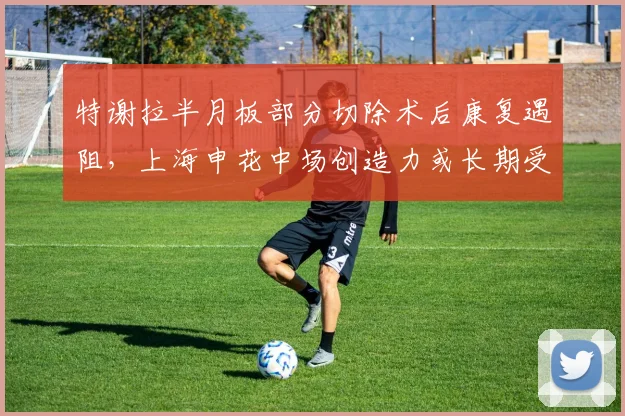 特谢拉半月板部分切除术后康复遇阻，上海申花中场创造力或长期受损